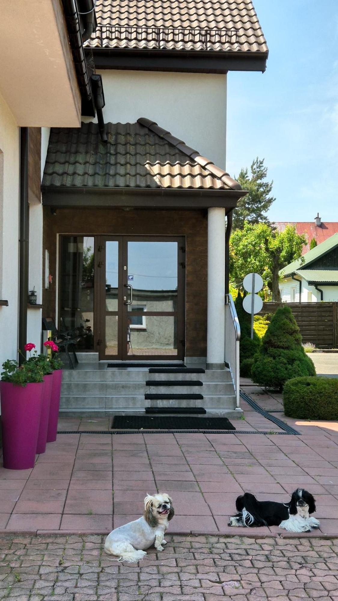 Noclegi Pod Lasem Lublin Exterior foto